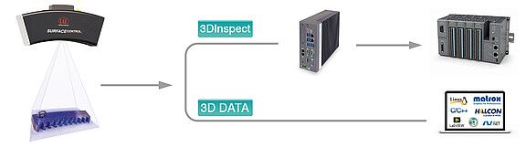 完整 3D 数据的灵活处理